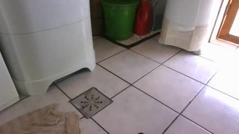 kelly online show from March 7, 6:22 pm