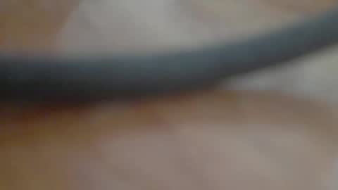 leowolf online show from September 25, 11:39 am