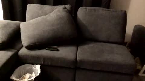 leader328398 online show from September 14, 10:49 am