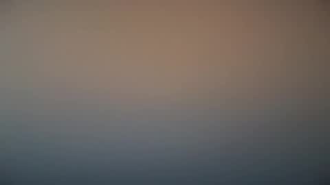 Michel online show from March 7, 12:01 pm