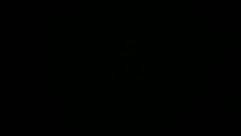 Michel online show from September 30, 4:56 am