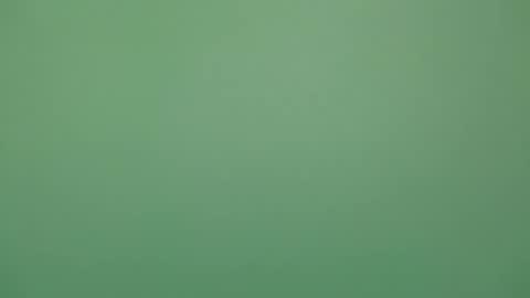 Michel online show from February 4, 6:01 pm