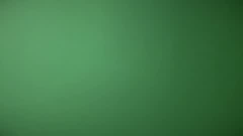 Michel online show from February 17, 2:27 pm