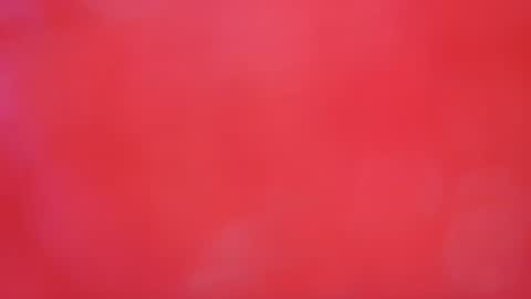 lenastar075 online show from November 19, 7:51 am