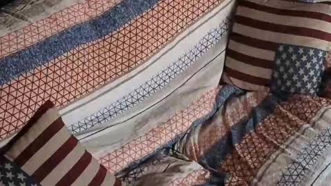 Segaiolo..... online show from April 30, 7:02 am