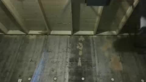 leo199984 online show from January 15, 3:59 am