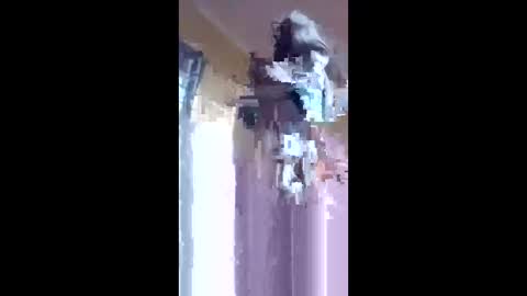 lewiskip online show from April 13, 4:17 am