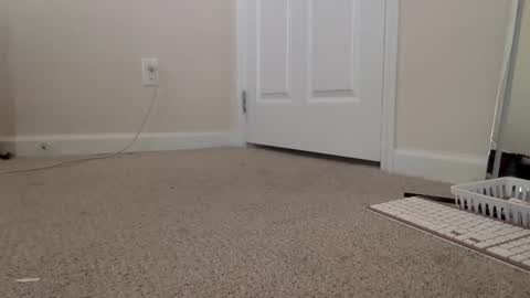 Alexia L. online show from October 20, 4:23 pm