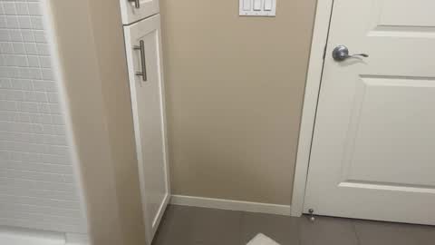 Lex North online show from March 1, 10:58 pm