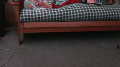 LexxxyD online show from July 18, 11:23 am