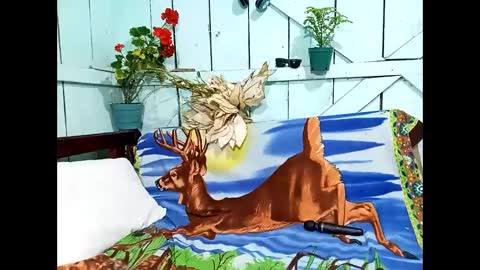 Lia online show from September 9, 10:10 pm