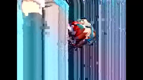 likethat6999 online show from March 2, 11:33 pm