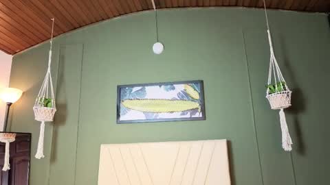 Lila online show from December 20, 8:43 am