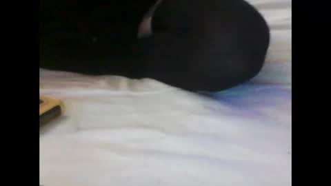 Snapshot of lilbit4u chatting on January 10, 12:49 am lilbit4u online show from January 10, 12:49 am