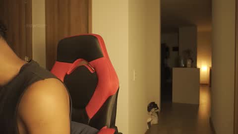 Dante online show from December 1, 3:37 am