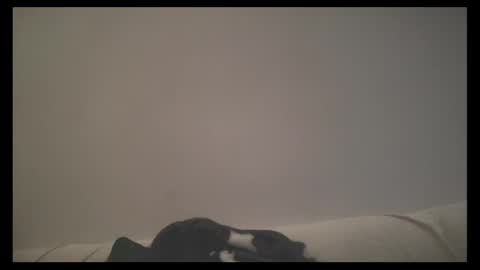 lilginge1 online show from April 29, 6:13 pm