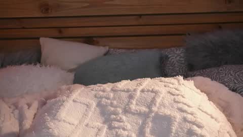 Lill Dayna online show from April 5, 3:31 pm