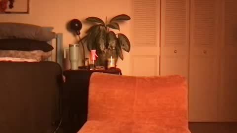 Little Lily online show from June 19, 4:40 am