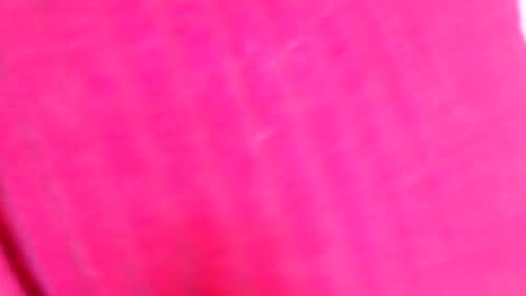 Linda online show from April 4, 2:02 pm