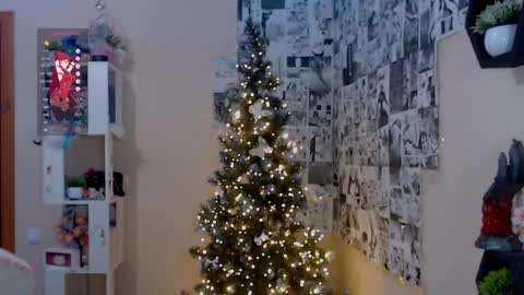 Snapshot of liniq chatting on December 14, 5:47 pm Lina online show from December 14, 5:47 pm