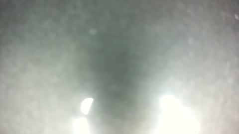 littlestick online show from December 3, 9:21 am