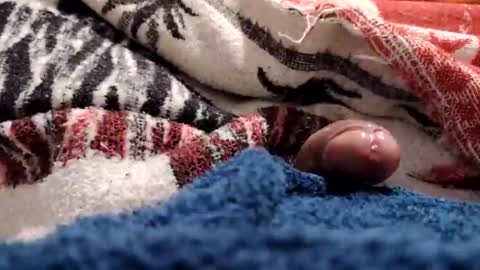 loganncky online show from February 19, 9:19 am