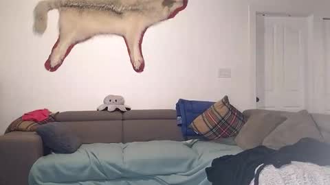 Snapshot of lolalixx6969 chatting on October 28, 4:19 pm Lola Lixx online show from October 28, 4:19 pm