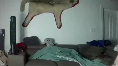 Snapshot of lolalixx6969 chatting on October 17, 9:57 am Lola Lixx online show from October 17, 9:57 am