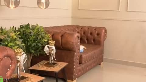Rose online show from October 14, 3:09 am
