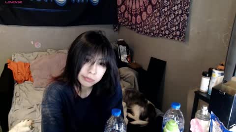 londonray online show from November 29, 12:51 am