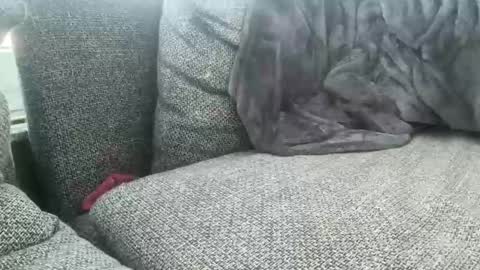 longjohnson94435702 online show from March 2, 7:54 am