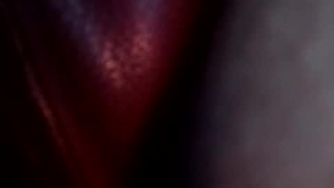 longone2600 online show from February 14, 10:40 am