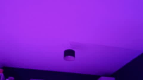 Amelia online show from November 12, 8:11 pm