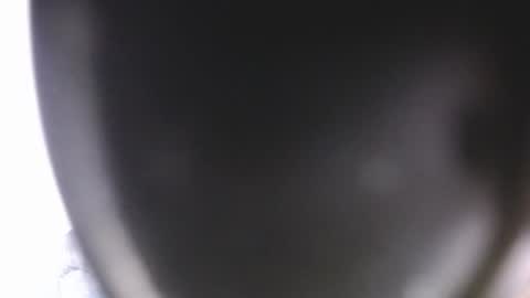lorexxw online show from July 9, 12:14 am