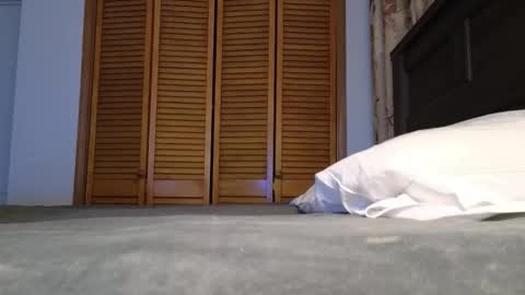 Amber online show from January 7, 3:00 am