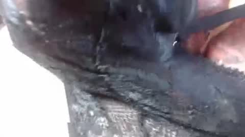 Mature lover2 online show from February 27, 9:14 pm