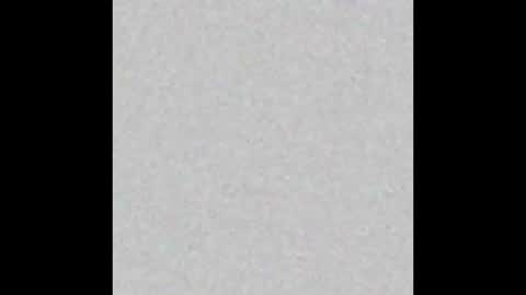   online show from February 19, 11:09 am