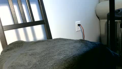 Snapshot of lukesky222 chatting on March 11, 10:09 pm Luke online show from March 11, 10:09 pm