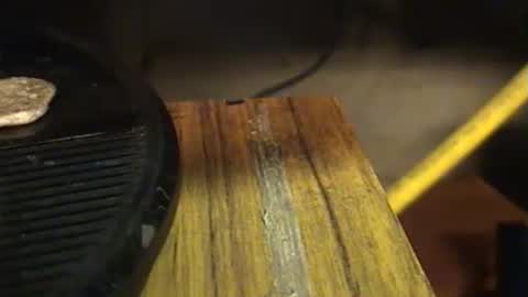 lukestarfckr online show from September 29, 7:13 pm