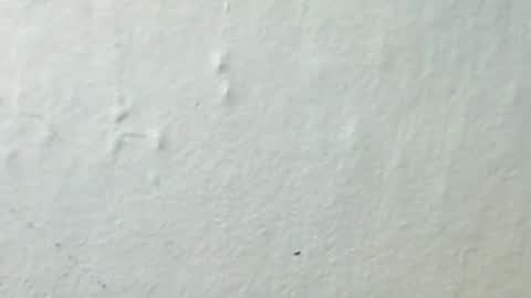 lukin8712 online show from February 8, 10:57 pm