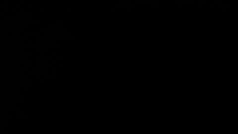 Cookie  online show from February 27, 10:08 am