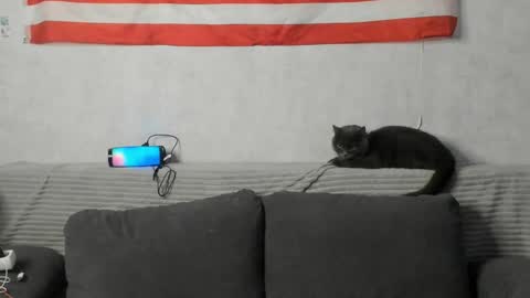 luna_lullabyy online show from May 21, 7:31 pm