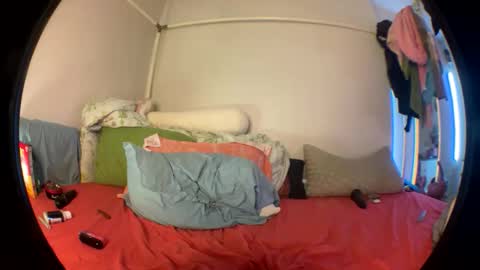 LOLA online show from November 11, 9:33 am