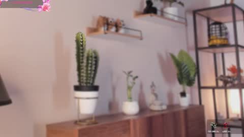 Lynda online show from October 4, 6:00 am