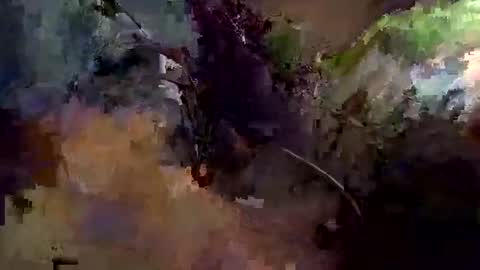 lynds87 online show from April 8, 4:26 am