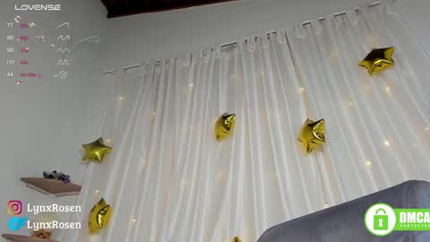 Lynx Rosen online show from January 11, 4:06 am