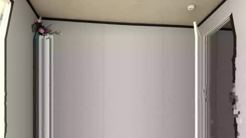 m 80 online show from October 25, 9:19 am