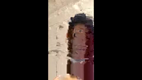 ma688445 online show from April 3, 11:00 pm