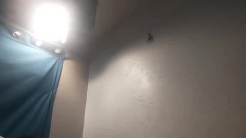 mac11thizzelw online show from March 31, 2:50 pm