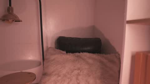 Noah Askew online show from December 15, 8:27 pm